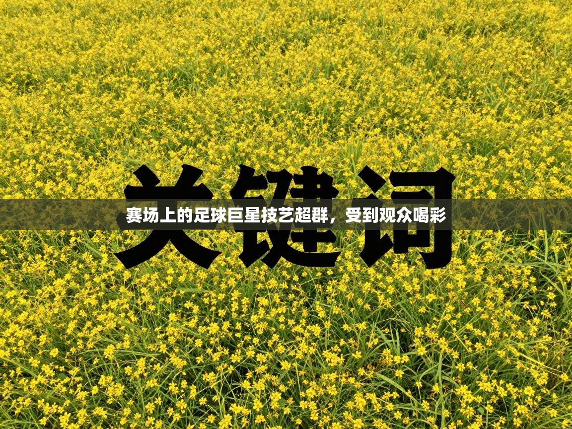 赛场上的足球巨星技艺超群,受到观众喝彩 第2张