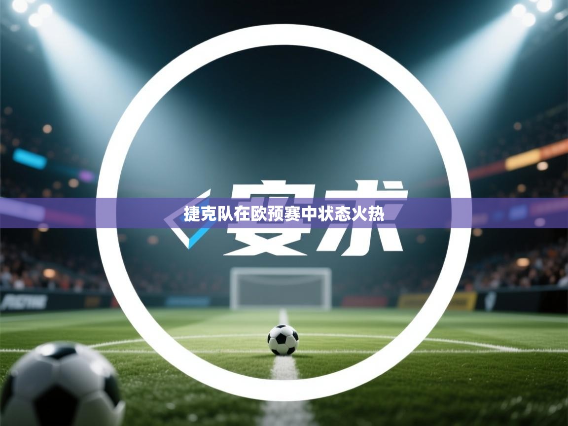 捷克队在欧预赛中状态火热  第2张